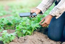 Se abren postulaciones para la categoría “Agro del Futuro FIA” en los premios Avonni 2023  